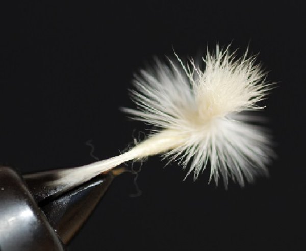 画像2: UMPQUAアンプカ・ライトケイルパラシュート (2)