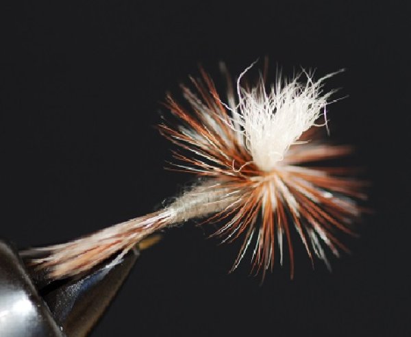 画像2: UMPQUAアンプカ・アダムスパラシュート (2)