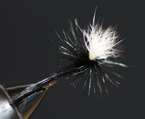 画像2: UMPQUAアンプカ・ブラック・パラシュート (2)