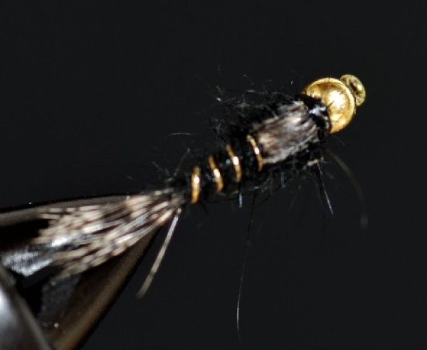 画像2: UMPQUAアンプカ・ビーズヘッドヘアーズイヤー・ブラック (2)