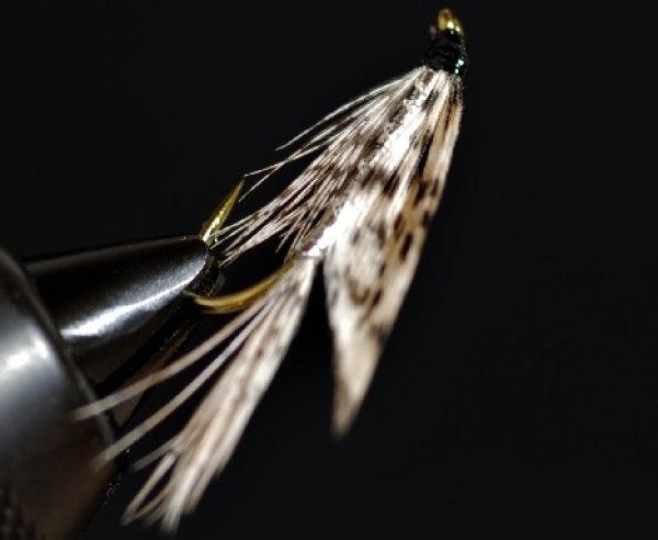 画像2: UMPQUAアンプカ・シルバーマーチブラウン (2)