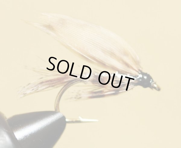 画像1: 格安フライ・Wetシルバーマーチブラウン (1)