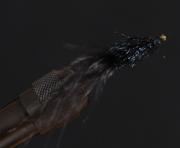 画像2: 白石健一プロ・トルネード・イーグルマラブー・ブラック (2)