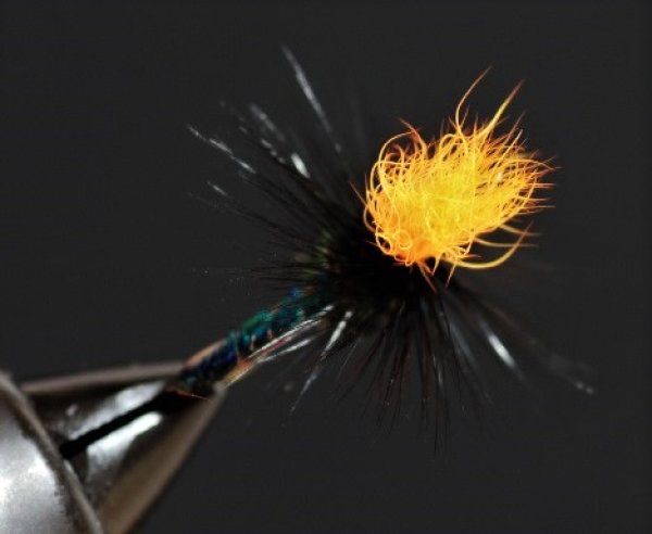 画像2: TMCイワイ・イワナIIレッド (2)