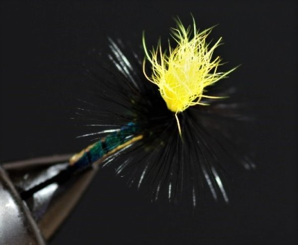 画像2: TMCイワイ・イワナIIイエロー (2)