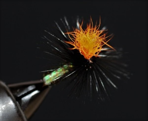 画像2: TMCイワイ・イワナIII (2)