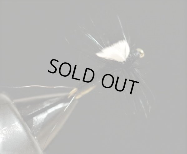 画像2: イワイ・ソラックスIIブラック (2)