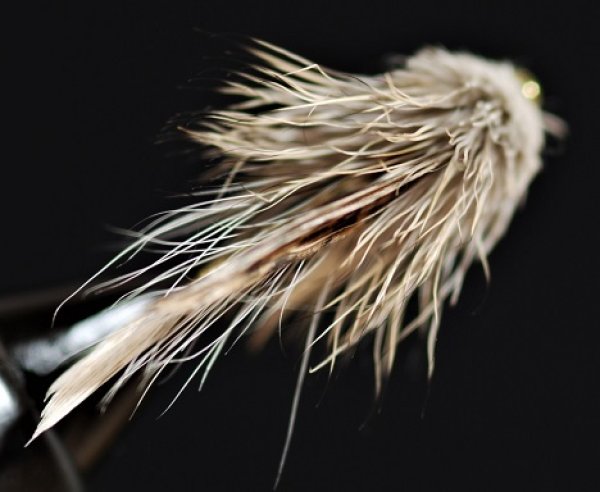 画像2: マドラーミノー (2)