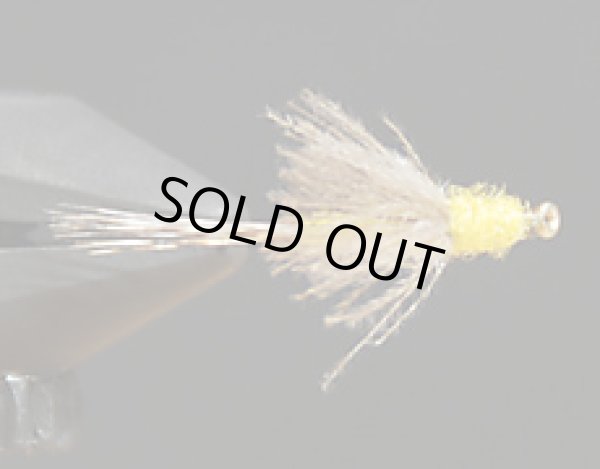 ＣＤＣダン・オリーブ