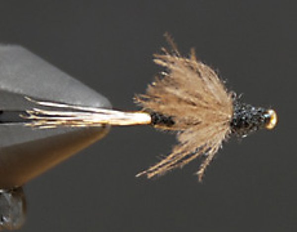 ＣＤＣダン・ブラック