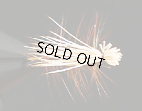 エルクヘアーカディス・ブラウン（ブリーチ）