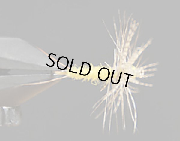 ソラックスダン・オリーブ