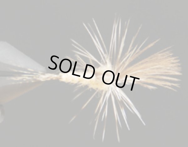 メイフライイマージャー・モンカゲ