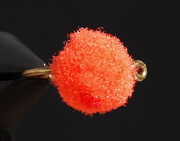 グローバグ・フレーム