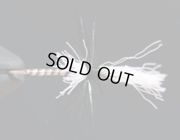 ミッジクリップル・ブラック