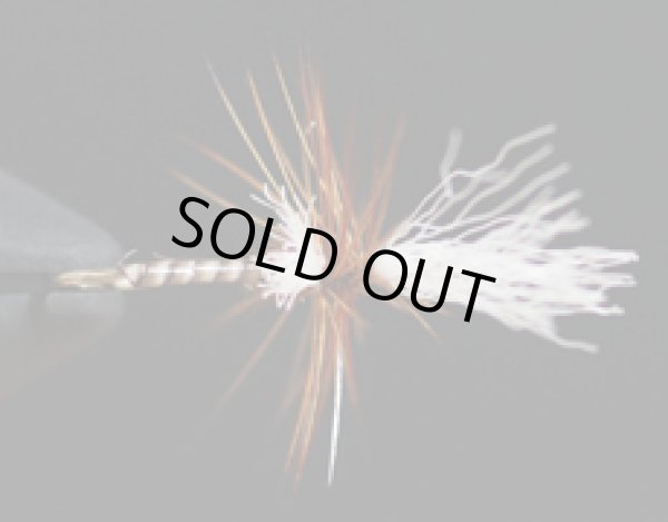 ミッジクリップル・ブラウン