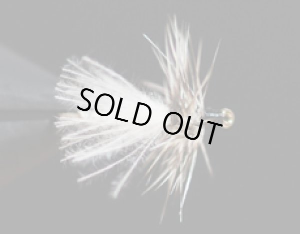 CDCバイオット・ミッジアダルト・ライトケイヒル