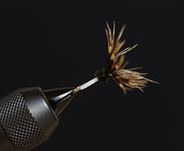 瀬畑毛鉤・雉羽逆さ白