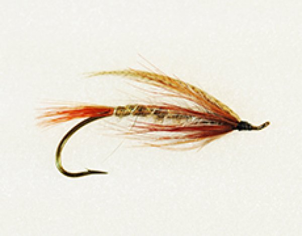 レディ・キャロライン