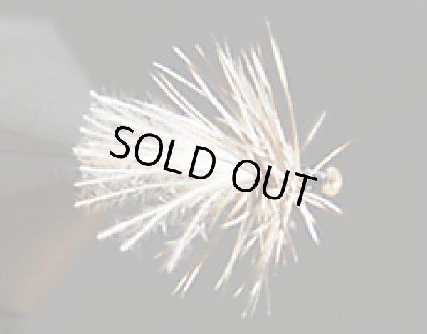 CDCミッジアダルト・ブラウン