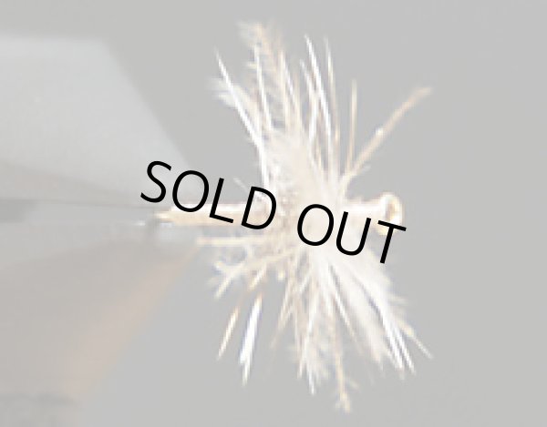 ミッジアダルト・タン