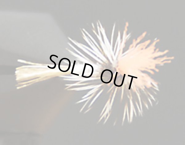 パラミッジ・ホワイト