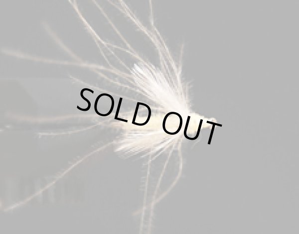 CDCスペントガガンボ