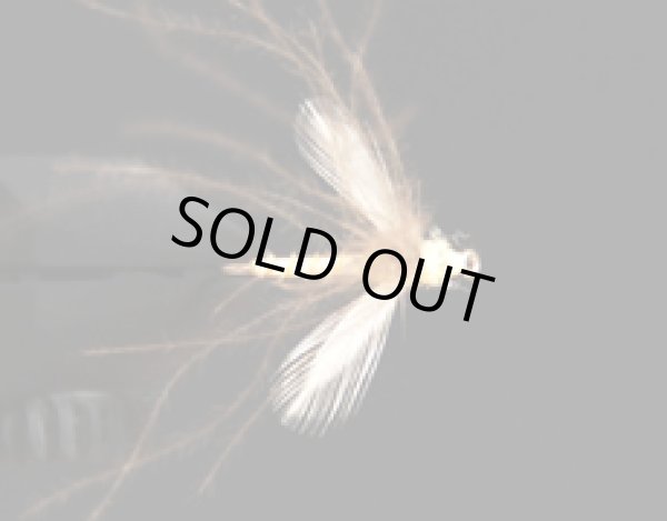 CDCバイオットガガンボ