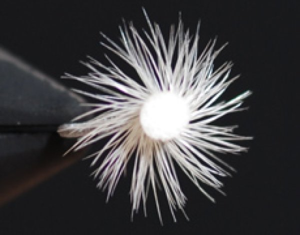 スプラウトミッジ・グレー