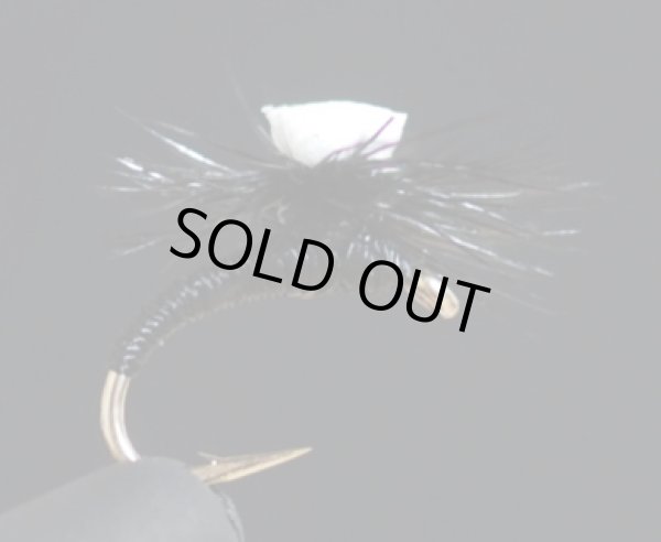 スプラウトミッジ・・ブラック