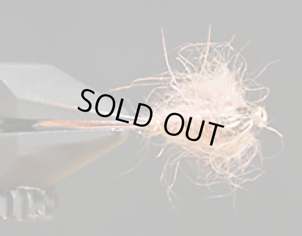 ヘアーズイヤー・ブラウン