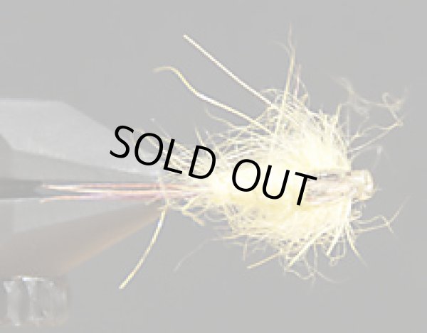 ヘアーズイヤー・オリーブ