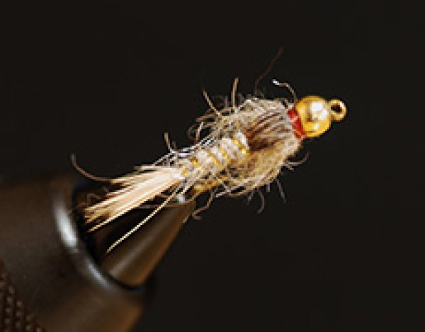 タングステン・ヘアーズイヤー・ナチュラル