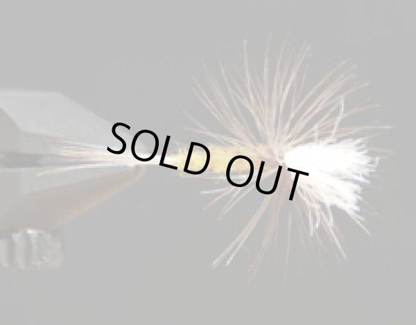 ブルーウィングオリーブ・パラシュート