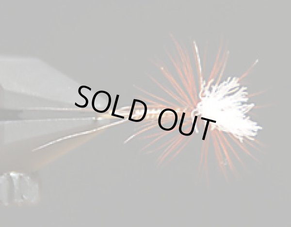 パラダン・クイルボディー