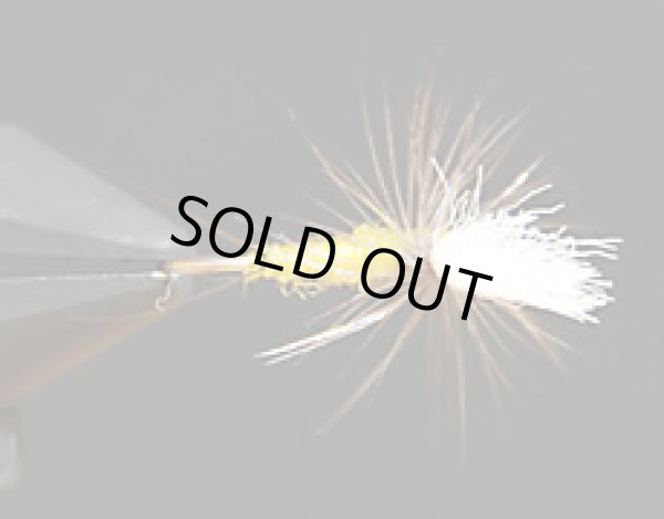 パラダン・オリーブ