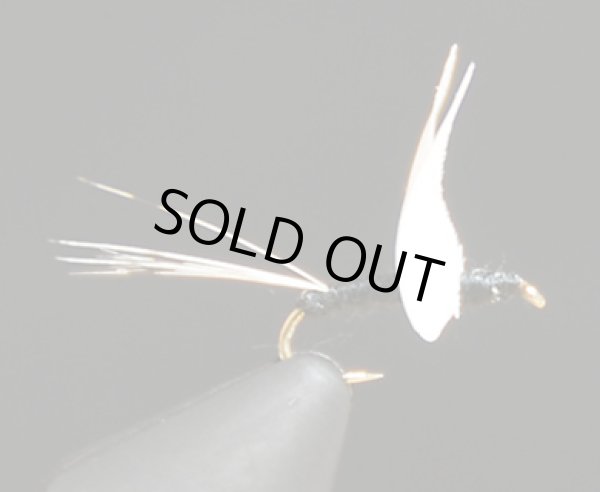 ノーハックル・トライコ#18 (1個)