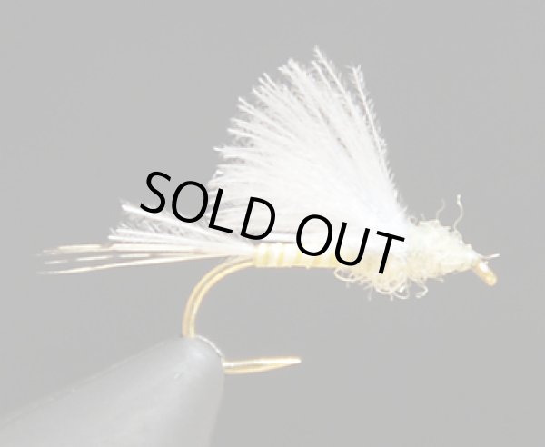 CDCバイオットダン・PMD#14 (1個)