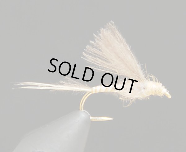 CDCバイオットダン・カリベイティス#16 (1個)