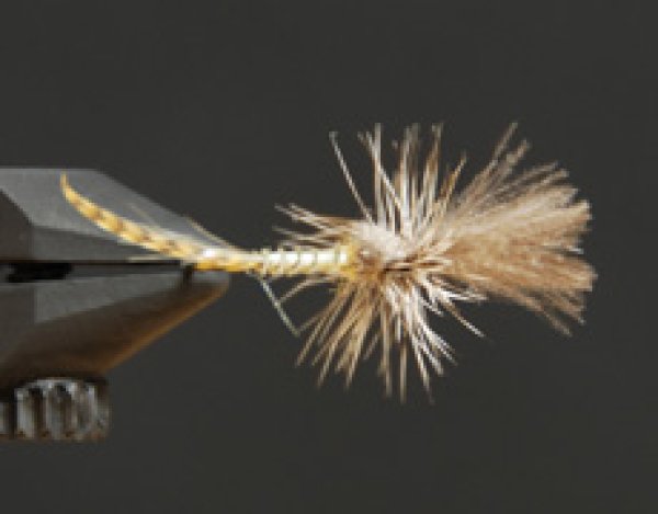 ラストチャンスクリップルカリベイティス