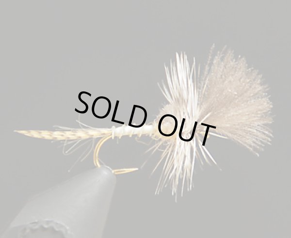 ラストチャンスクリップル・カリベイティス#14(1個)