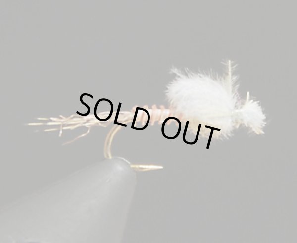 キャプティブダン・PMD#16(1個)