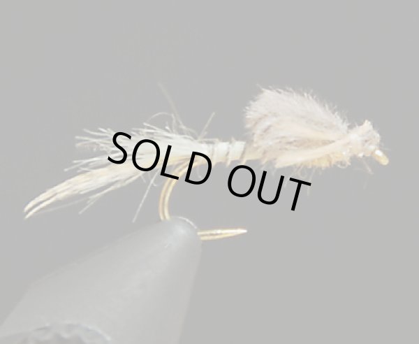 キャプティブダン・カリベイティス#14(1個)