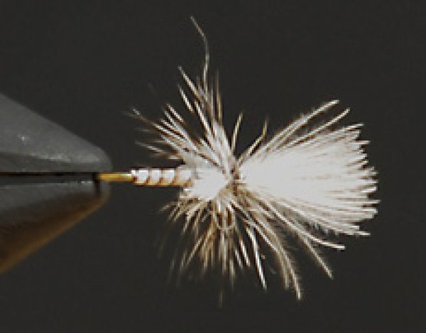 ハンギングミッジ・グレイ