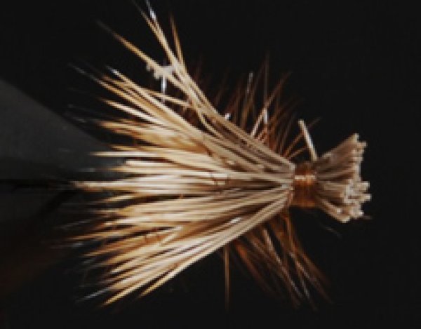 エルクヘアカディス・オリーブ