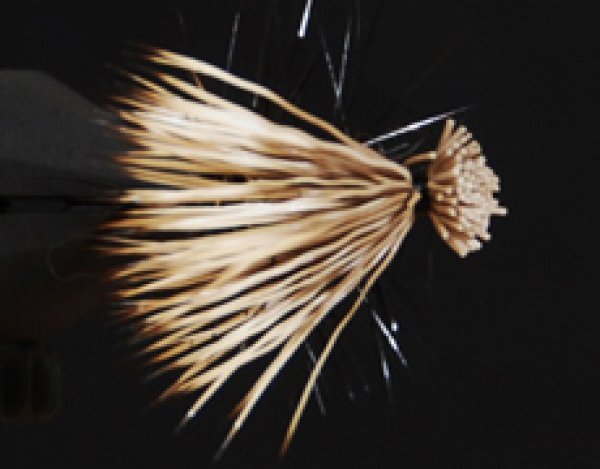 エルクヘアカディス・グレー