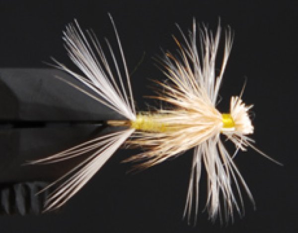 ヘアウィングダンPMD