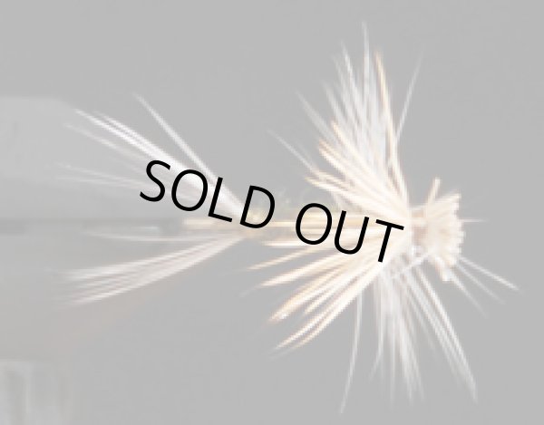 ヘアウィングダン・ベイティス