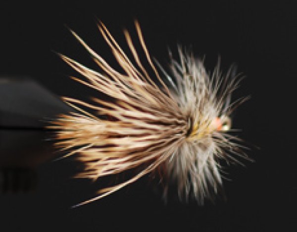 スティミレーター・オリーブ