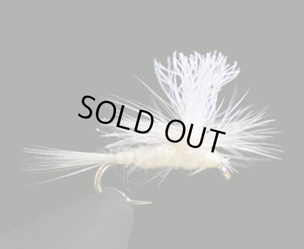 ミッジパラシュート・クリーム